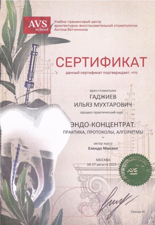Гаджиев И. М. Сертификат ЭНДО-КОНЦЕНТРАТ практика, протоколы, алгоритмы